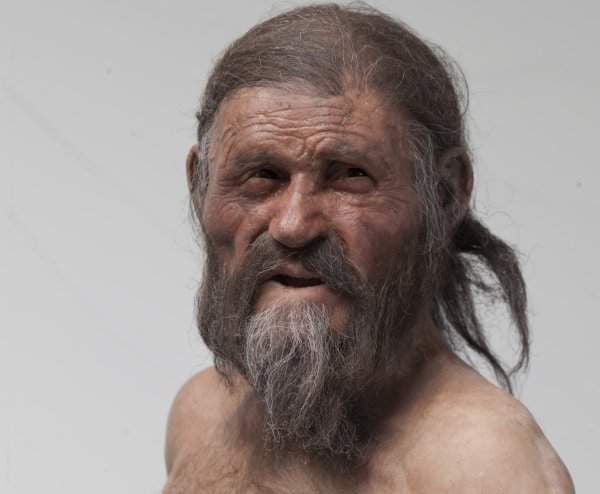 Ötzi Mumie mit Migrationshintergrund