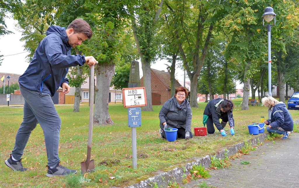 Der Warnauer Dorfverein brachte rund um den Kirchberg wieder tausende Blumenzwiebeln in die Erde.