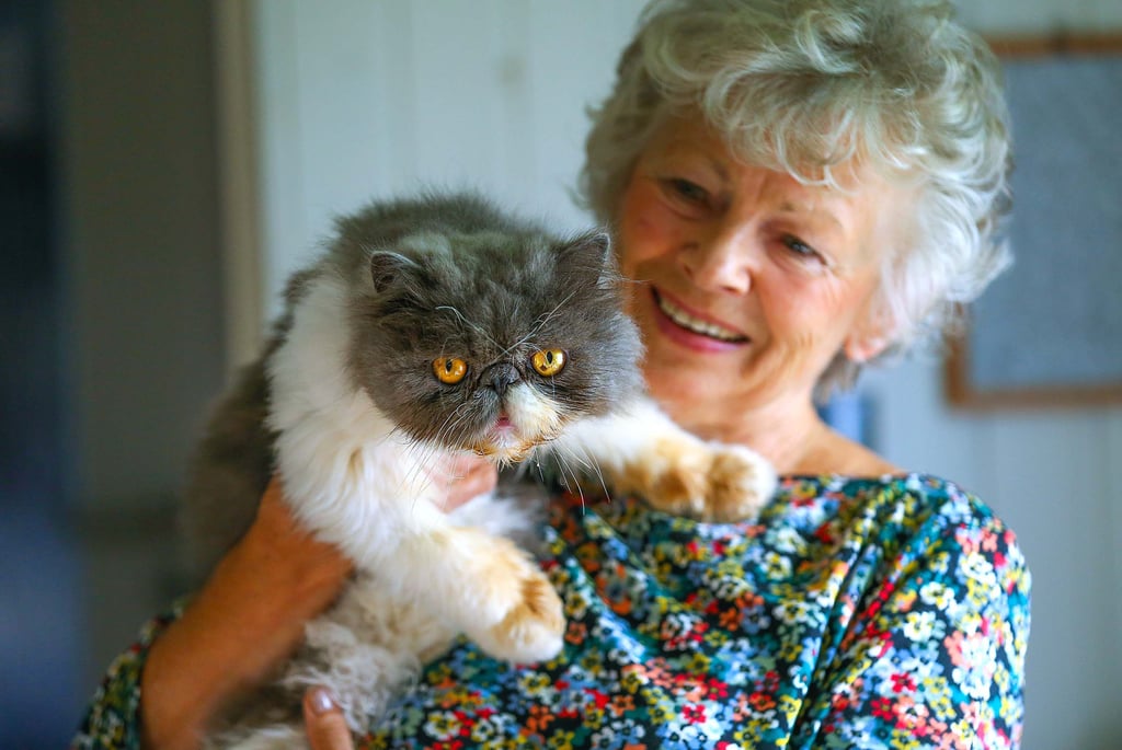 Charly und Ilona Zocher. Der Perserkater gewann schon Preise, bevor er in den SOS-Tierhof kam.