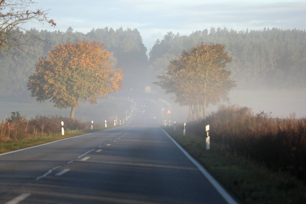Im Herbst werden die Bedingungen auf den Straßen schnell gefährlich.