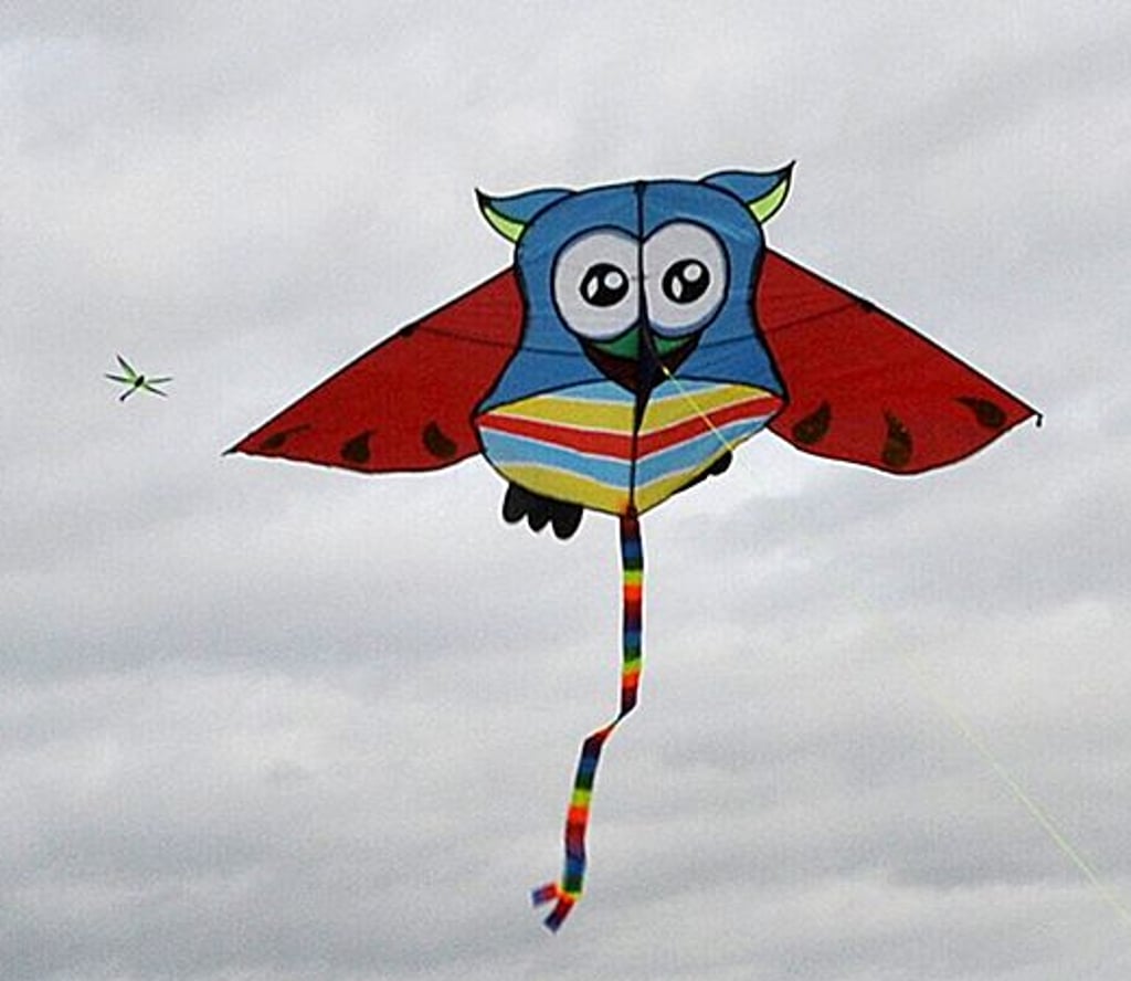 Viele bunte Flieger sollen wie hier vor zwei Jahren auch beim 41. Drachenfest in Havelberg wieder hoch in die Lüfte steigen.