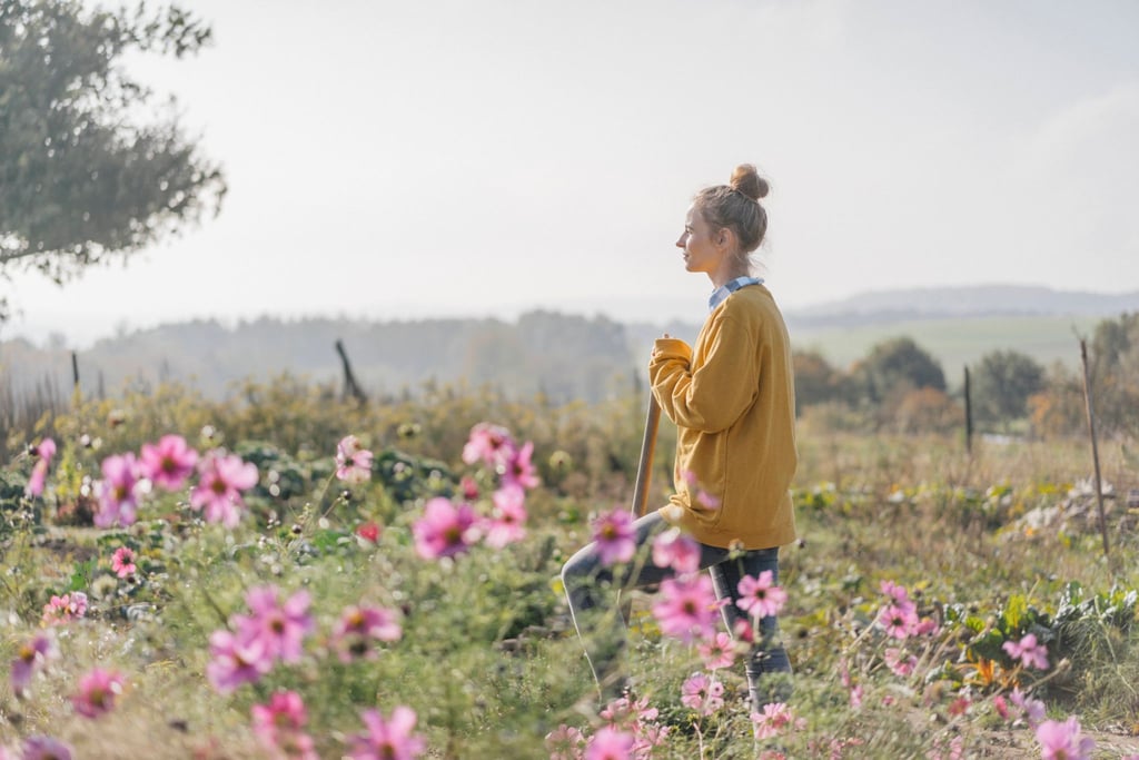 Statt Rasen: Eine Blumenwiese lockt Insekten und Vögel an und ist weniger aufwendig zu pflegen.