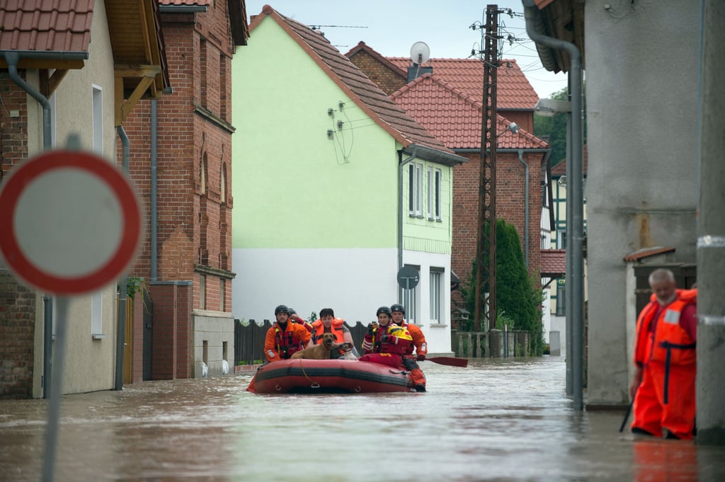 2017 waren mehrere Gemeinden in der Harz-Region von Hochwasser betroffen. Auf dem Bild bringen Helfer in Harsleben eine Frau und zwei Hunde in Sicherheit.
