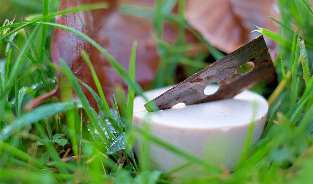 Giftköder wurden in Muldenstein und Friedersdorf gefunden.