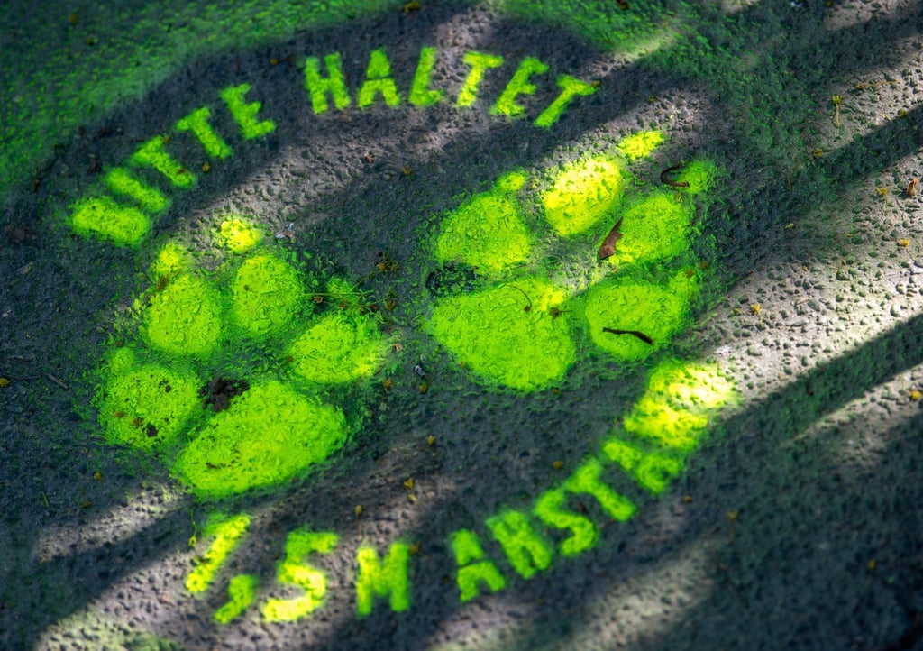 Auch die Zoos sind wachsam. Im Berliner Zoo gelten seit 2020 insbesondere bei Raubtieren und Primaten Hygiene- und Verhaltensregeln. Man versucht direkten Kontakt zwischen Pflegern und Tieren zu vermeiden.
