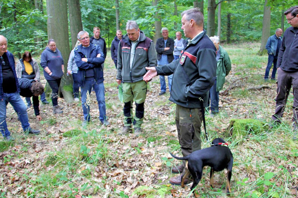 Thomas Roßbach (vorn), der Leiter vom Betreuungsforstamt Flechtingen, erklärte den Waldeigentümern in einem Bestand mit Schwarz-Eichen die natürliche Verjüngung des Waldes.