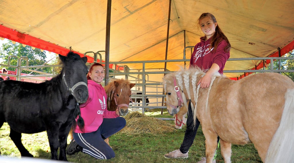 Joline (l.) und Eugenie Kaffka mit den Ponys, die neben Hunden, Ziegen, Lamas, Pferden und Gänsen ebenfalls in der Manege auftreten werden. Auch eine orientalische Schlangennummer erwartet die Zuschauer neben einem Clown und den Artisten.