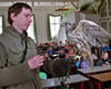 Ein Falkner präsentiert im Biologieunterricht am Gymnasium Stephaneum in Aschersleben einen Greifvogel.