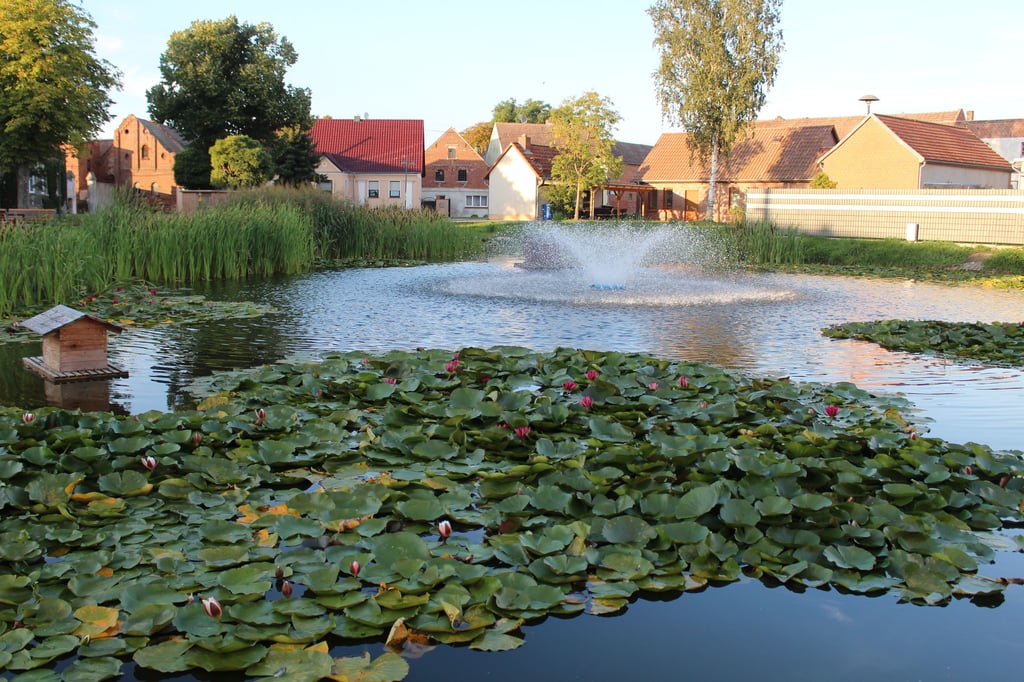 Ein Schmuckstück im Ort ist der Dorfteich von Gehrden.