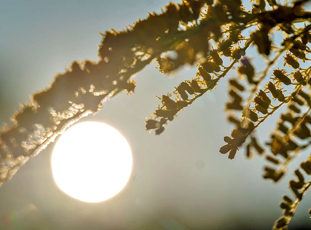 Im Monat September gab es insgesamt 158 Sonnenscheinstunden. Regen ist dagegen eher spärlich gefallen.