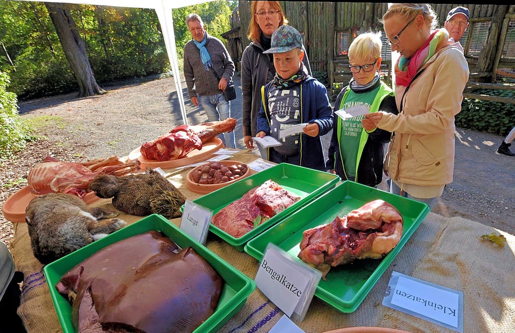 Sogar das Futter konnten Besucher genau unter die Lupe nehmen.