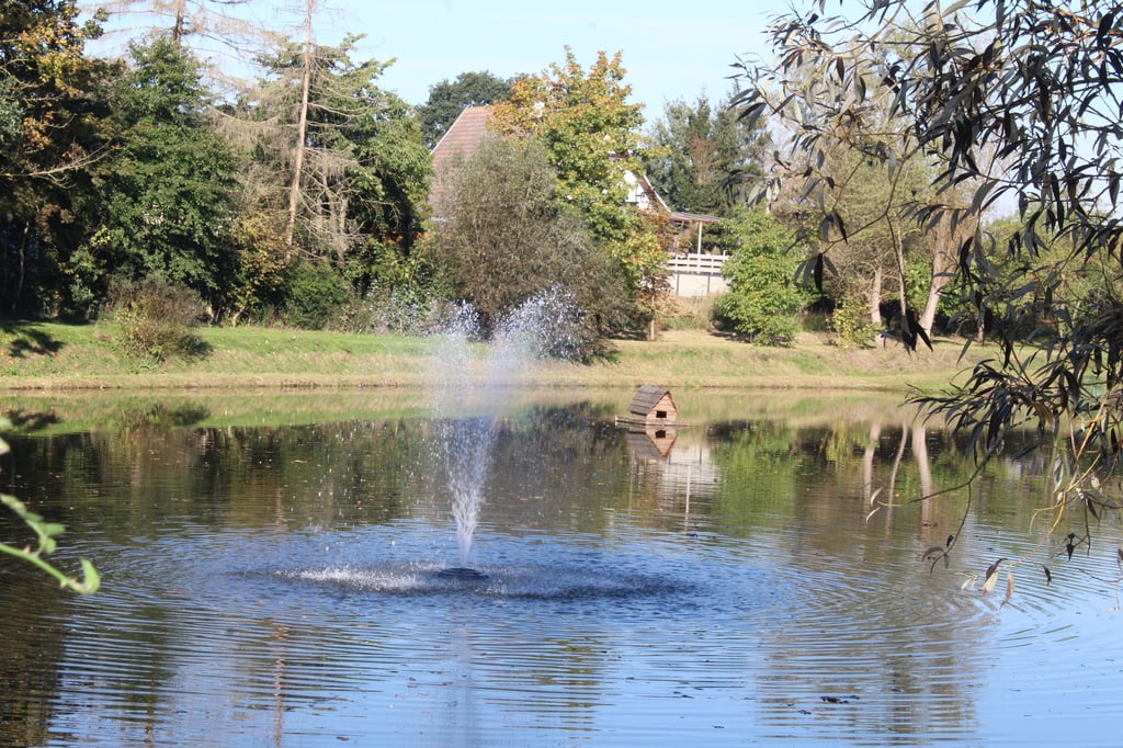 Die neue Fontäne im Dönstedter Teich ist nicht nur ein Blickfang, sondern hat auch sauerstoffzuführende Funktion für das Gewässer und die Lebewesen im Wasser.