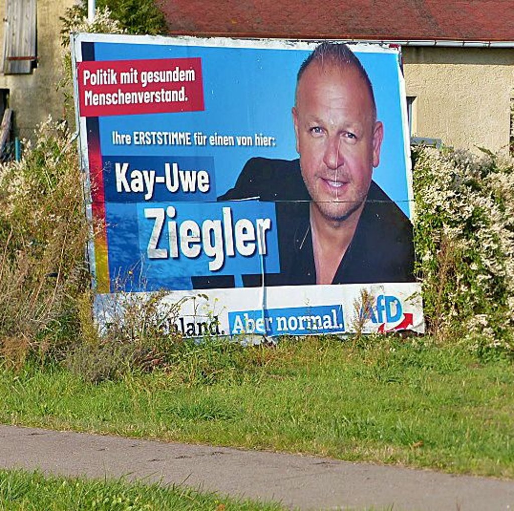 AfD-Wahlwerbung in Heidekrug