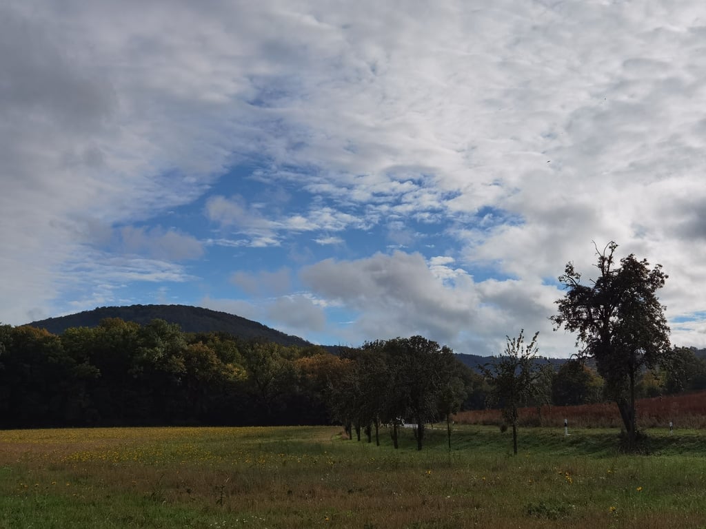 Traumhafte Landschaft und pure Idylle vor den Toren Blankenburgs: Hier, in der Nähe des Klosters Michaelstein, soll ein Ferienhausdorf mit einem Aktivstall für Pferde entstehen.