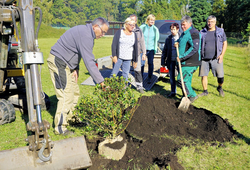 Mit einer kleinen Abordnung setzen die Brettiner Einwohner den Baum des Jahres ein. Bodo Hohmann (li.) und Arne Büttner (mit Schaufel) bereiteten das Pflanzloch auf dem ehemaligen Bahnbetriebsgelände vor.