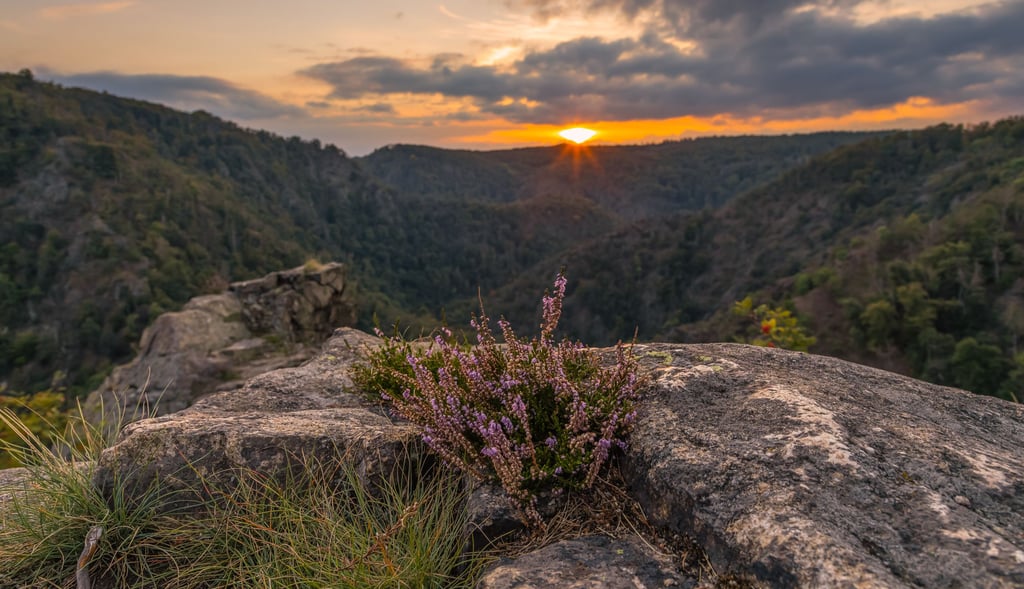 Die Roßtrappe im Harz ist ein beliebtes Ziel bei Touristen. Um den Abdruck eines Pferdehufs rankt sich seine Sage. Etwas Ähnliches soll es bei einem Ort bei Bismark gegeben haben.