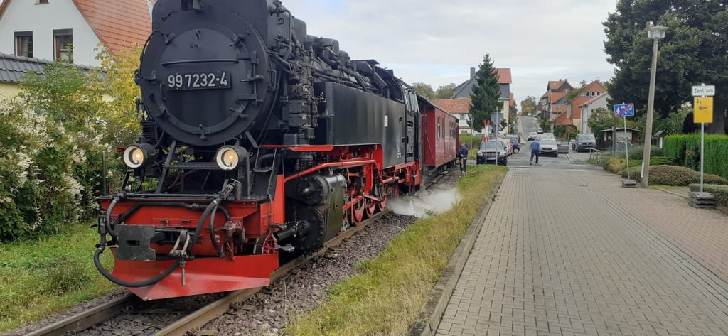 Die Straße war in Wernigerode zeitweilig gesperrt.