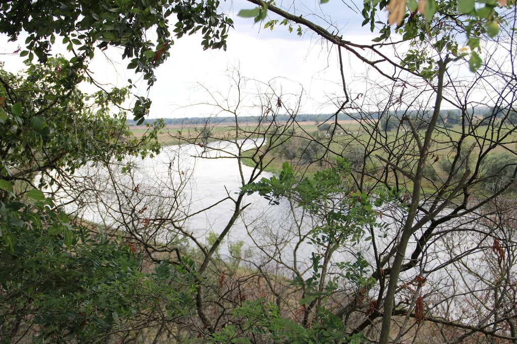 Vom Weinberg in Hohenwarthe gibt einen einmaligen Ausblick auf die Elbe.