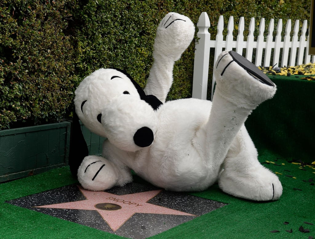 Ein plüschiger Snoopy liegt neben seinem Stern auf dem Hollywood Walk of Fame in Los Angeles.