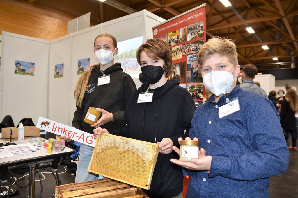 Honig auf der Schulmesse in Magdeburg: Schüler vom Werner-von-Siemens-Gymnasium präsentieren die Arbeit der Imker-AG.