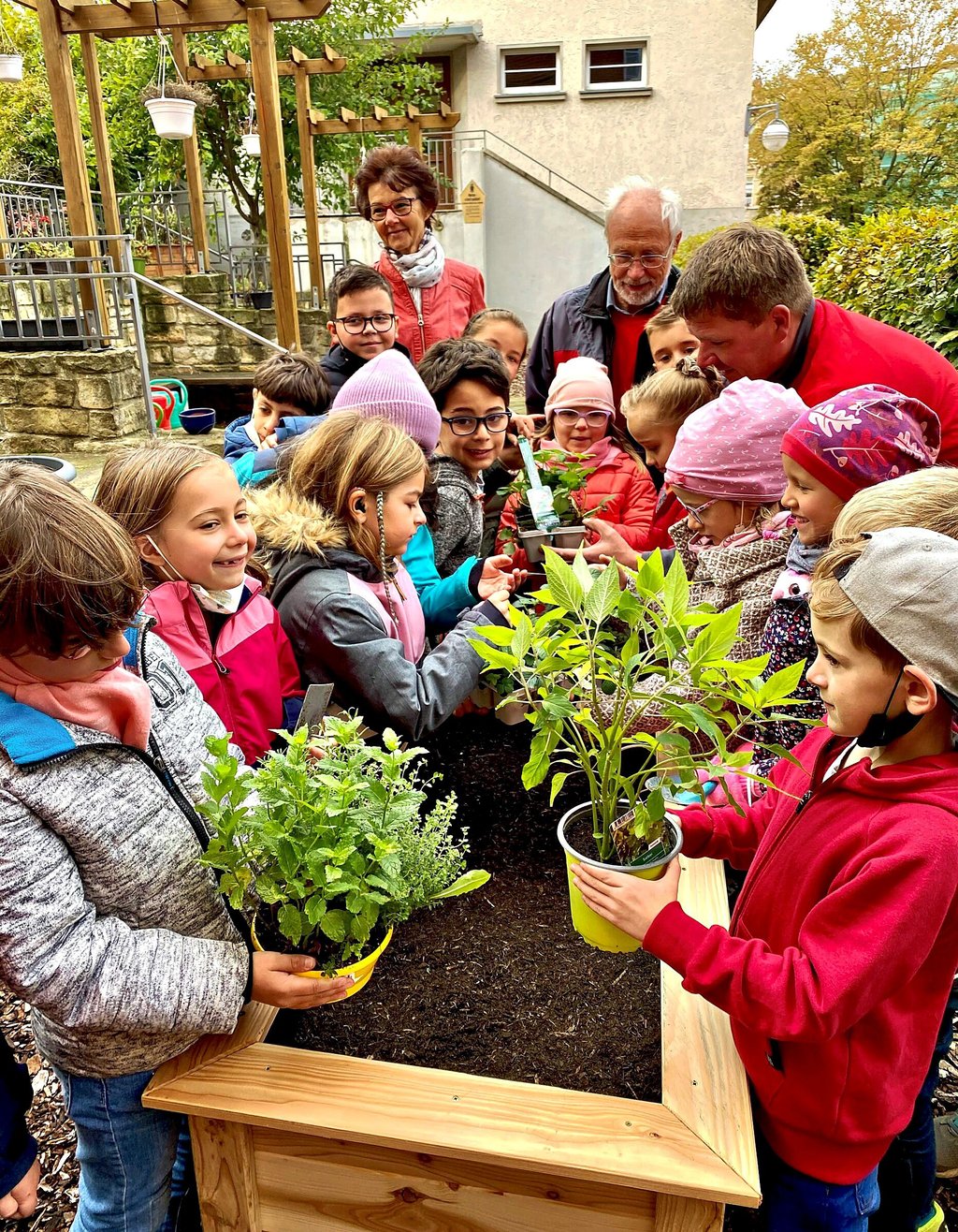 Die Kinder der Goethe-Grundschule waren eifrig dabei, das Hochbeet anzulegen und zu bepflanzen.
