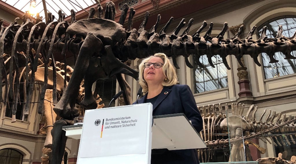 Bundesumweltministerin Svenja Schulze (SPD).