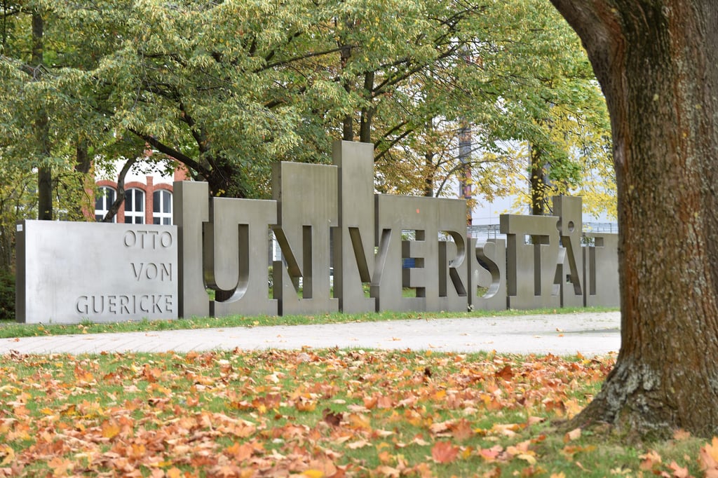 Am Mittwoch (20. Oktober) tagt der Senat der Universität in Magdeburg das nächste Mal.