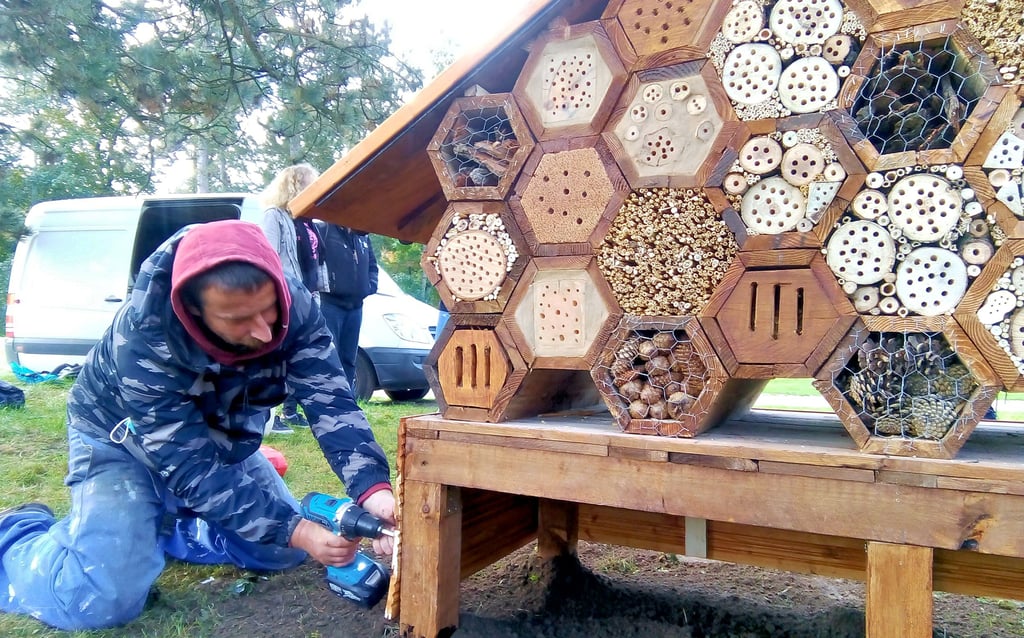 André Köhler bringt die letzten Befestigungsschrauben an der Holzverkleidung für das neue Insektenhotel im Naumburger Stadtpark an.
