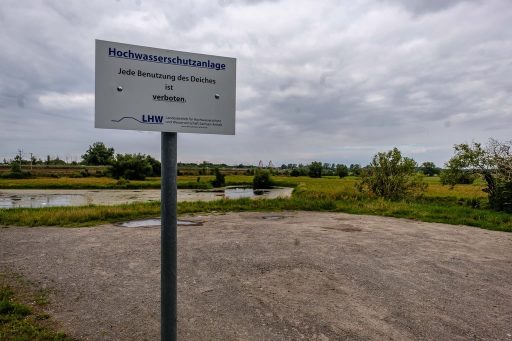 Ein Deich in Sachsen-Anhalt.