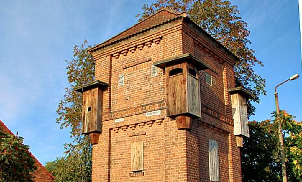 Der alte Trafoturm am Bahnhof in Zielitz ist zu einem Vogelhaus geworden.