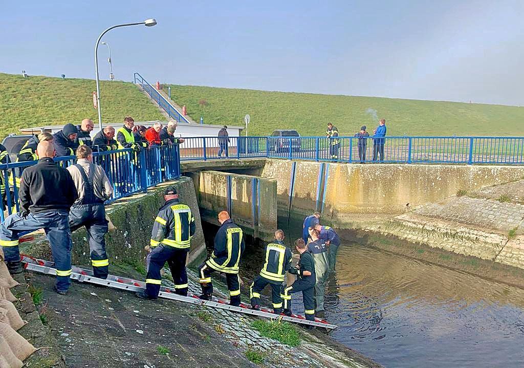 Wenn Hochwasser droht, müssen Sandsäcke schnell gefüllt sein und richtig verbaut werden. Die Südharz-Wehr hat es jetzt in Kelbra geübt.