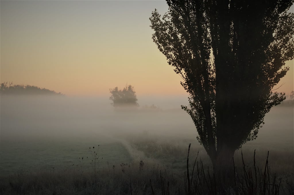 Herbstimpressionen Schönebeck