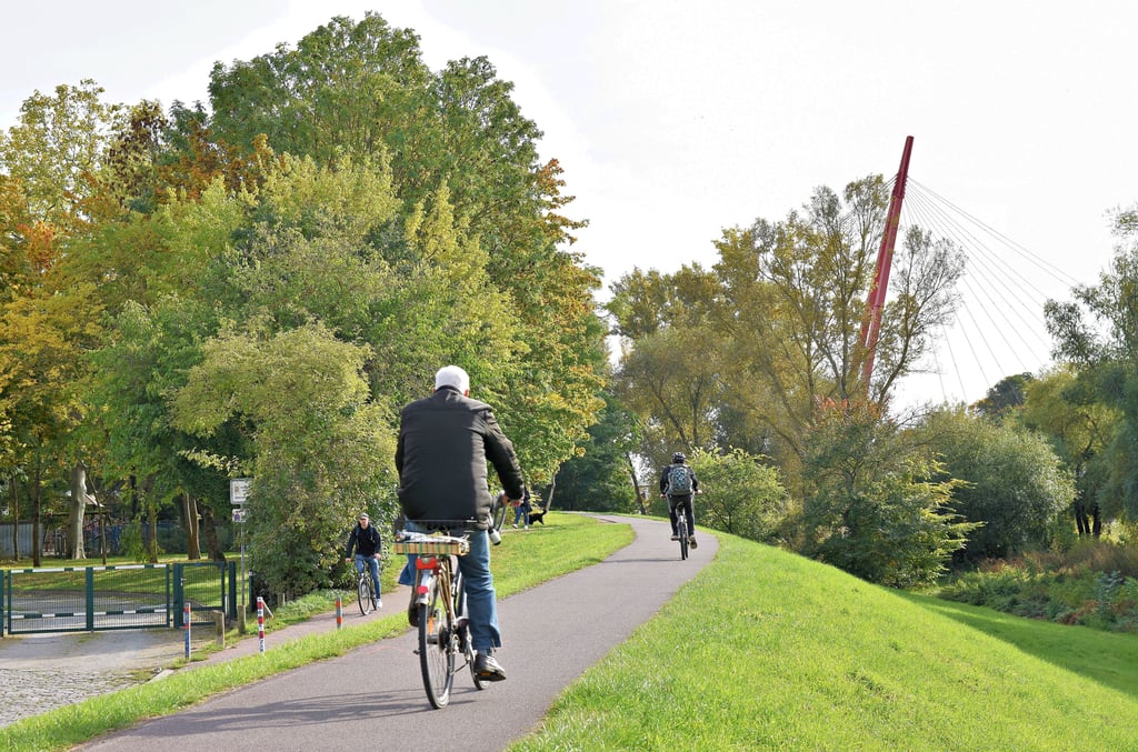 Viel genutzt und in der Nacht stockfinster: der Elberadweg an der Wasserfallbrücke in Magdeburg.