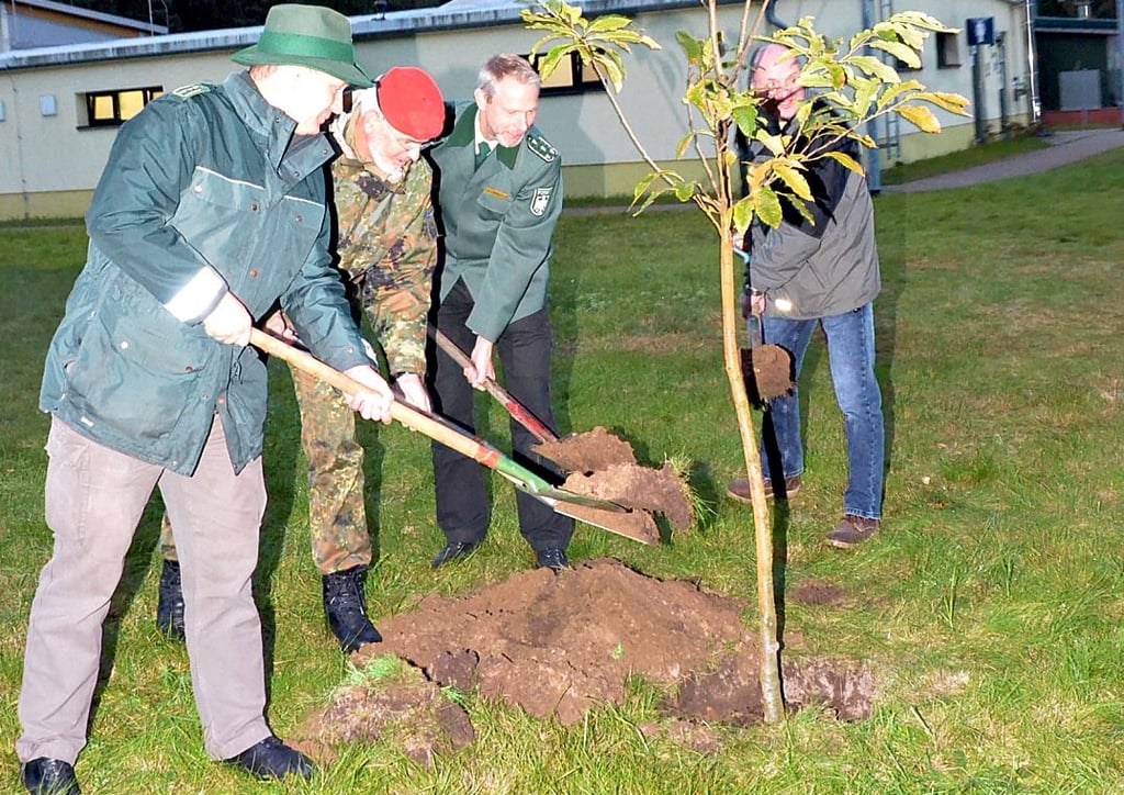 Eine Esskastanie wurde vom Kommandeur gemeinsam mit dem Bundesforstbetrieb auf dem Biwakplatz gepflanzt.