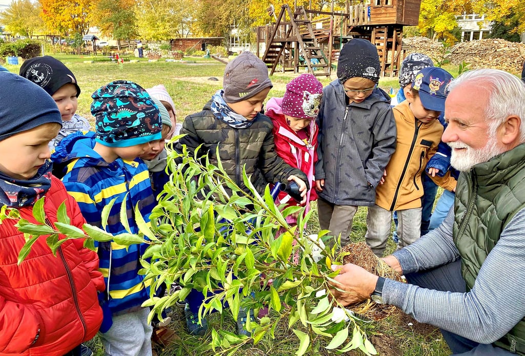 Die Kinder der Kita aus Peißen haben Bäume gepflanzt, um Bienen zu helfen.
