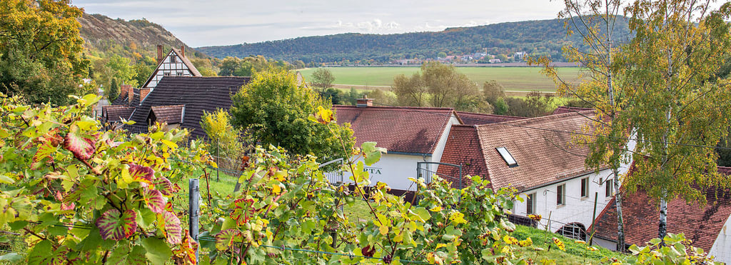 Das Landesweingut Kloster Pforta in Bad Kösen. Die Zukunft des Betriebes liegt in Naumburg - und nun auch in den Händen eines neuen Geschäftsführers.