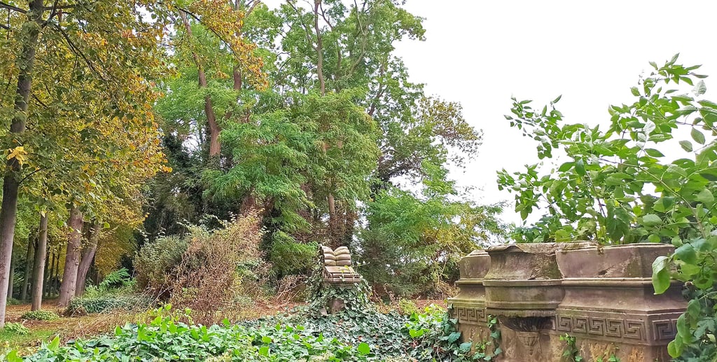 Friedhof Klein Ottersleben Baumfällung