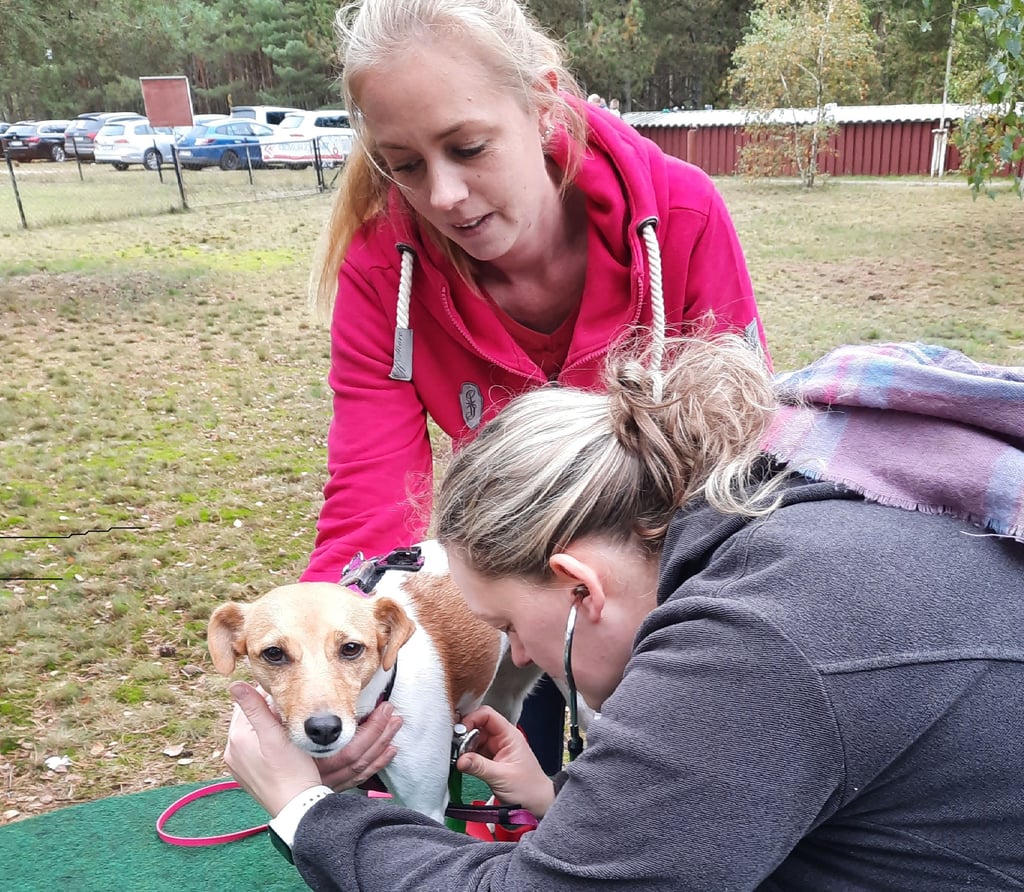 Die Tiermedizinische Fachangestellte Julien Alm hört bei Hündin Amy, hier mit ihrer Besitzerin Anne, den Herzschlag ab.