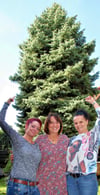 Lisa Oppermann, Dr. Veronika Weise, Jana Carstensen (v. l.): Sie freuen sich, dass diese Fichte von ihrem Grundstück der Kinderarztpraxis im Magdeburger Süden bald zum neuen Weihnachtsbaum werden wird.