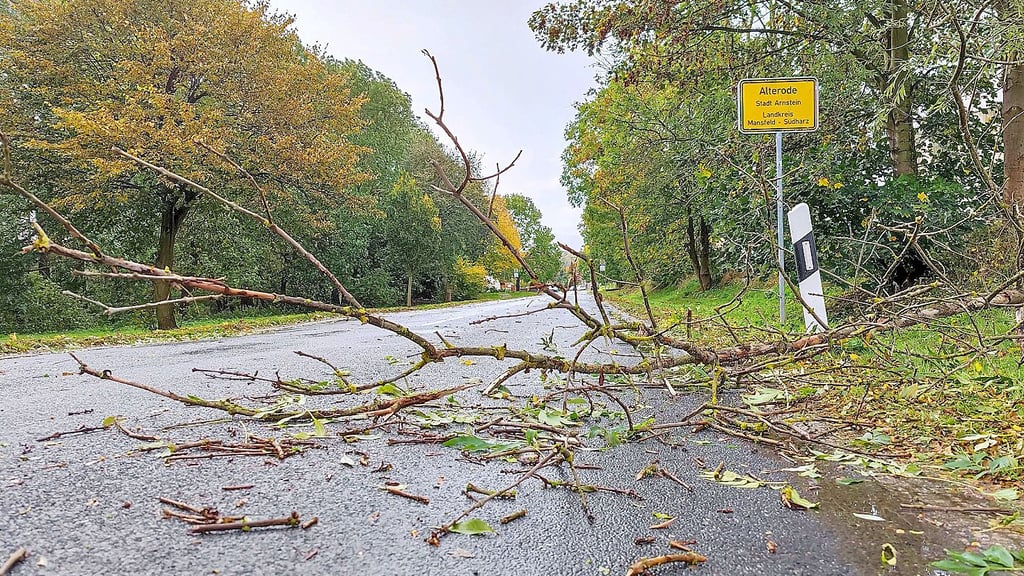 Baumbruch bei Alterode