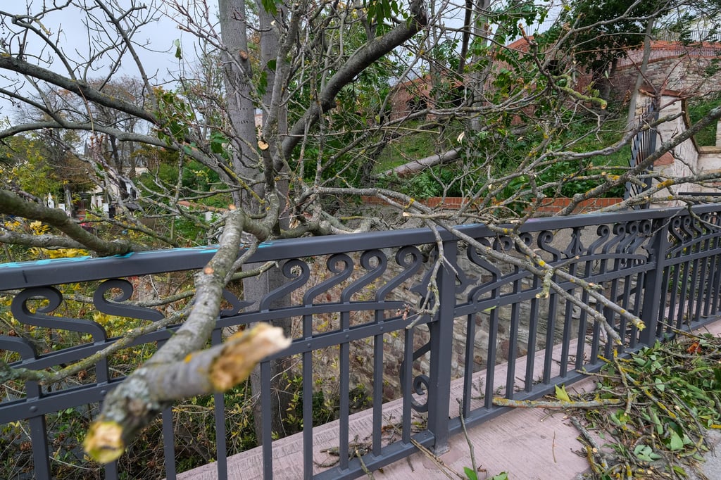 Ein Unwetter fegt über Halle hinweg und sorgt für einige Schäden im Stadtgebiet: Umgekippter Baum an der Leopoldina am Mühlgraben an der Brücke zum Robert Franz Ring.