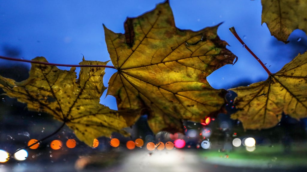 Zum Abend hin soll sich die Wetterlage beruhigen. Foto: Thomas Warnack/Symbol/