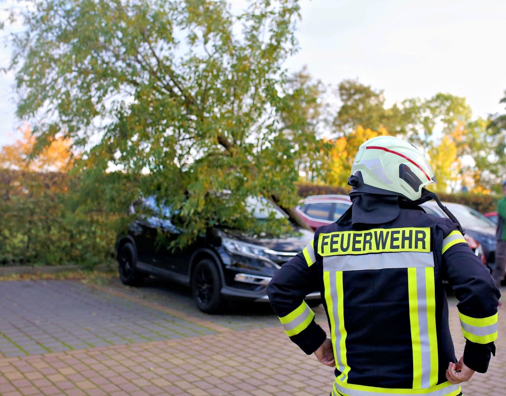 Sturmtief Ignatz forderte die heimischen Einsatzkräfte. Die Feuerwehr Bad Salzelmen um Sabine Zander rückte beispielsweise zu einem umgefallenen Baum nahe der Rehaklinik aus.