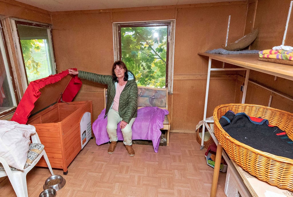 Tierschützerin Marlies Franz zeigt das für Maggie bestimmte Zimmer mit Schlafplätzen und Verstecken.