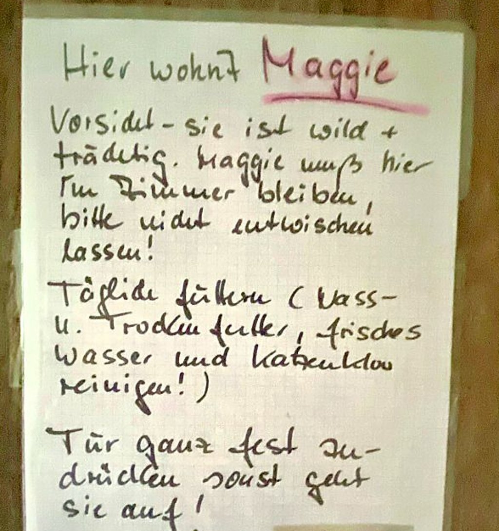 Türschild im Extra-Katzenzimmer.