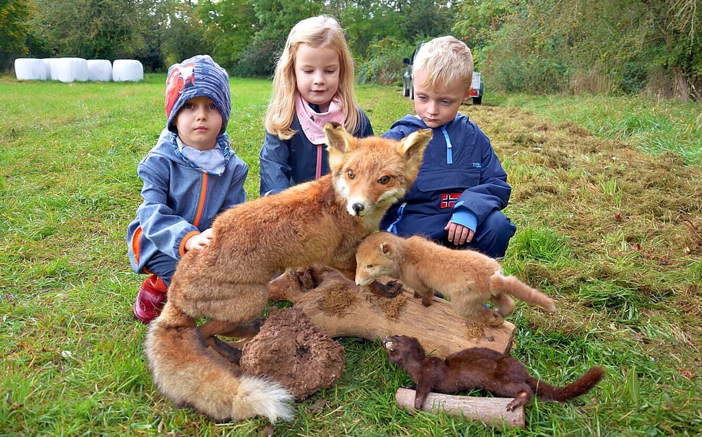 Alessio, Hannah und Marek (vlnr) trauen sich und streicheln den „Fuchs“.