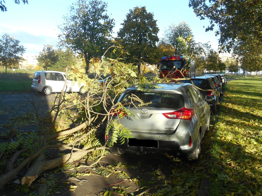 Eines von fünf beschädigten Autos. Das hatte in der Steneschen Straße gestanden.