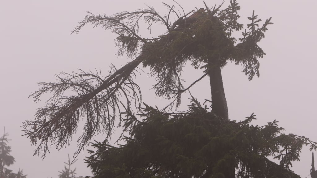 Mit Windspitzen bis zu 130 Kilometer pro Stunde fegte der Sturm über den Harz.