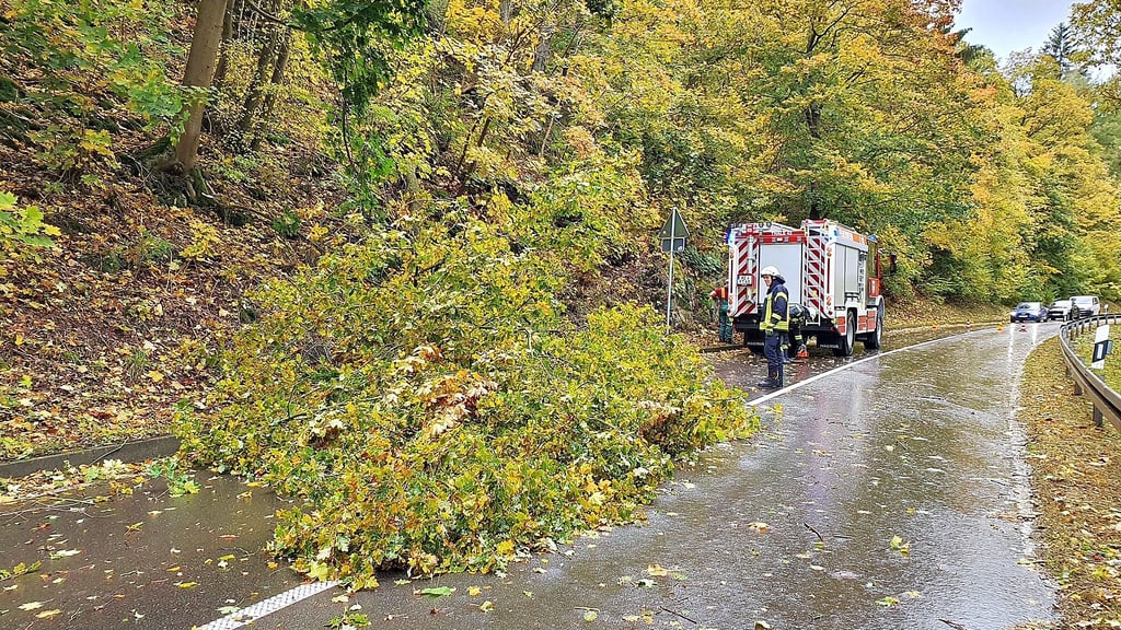 Die Ortsfeuerwehr Thale  war auf der Landesstraße 240 zwischen Thale und Friedrichsbrunn im Einsatz.