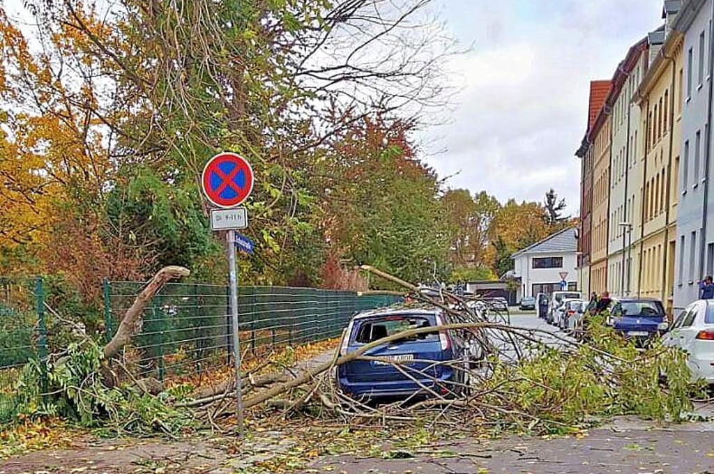Im Stadtgebiet sind am Donnerstag einige Autos beschädigt worden.